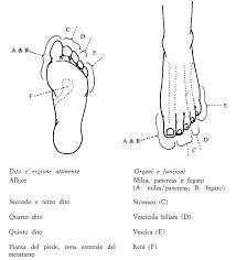 meridiani piede